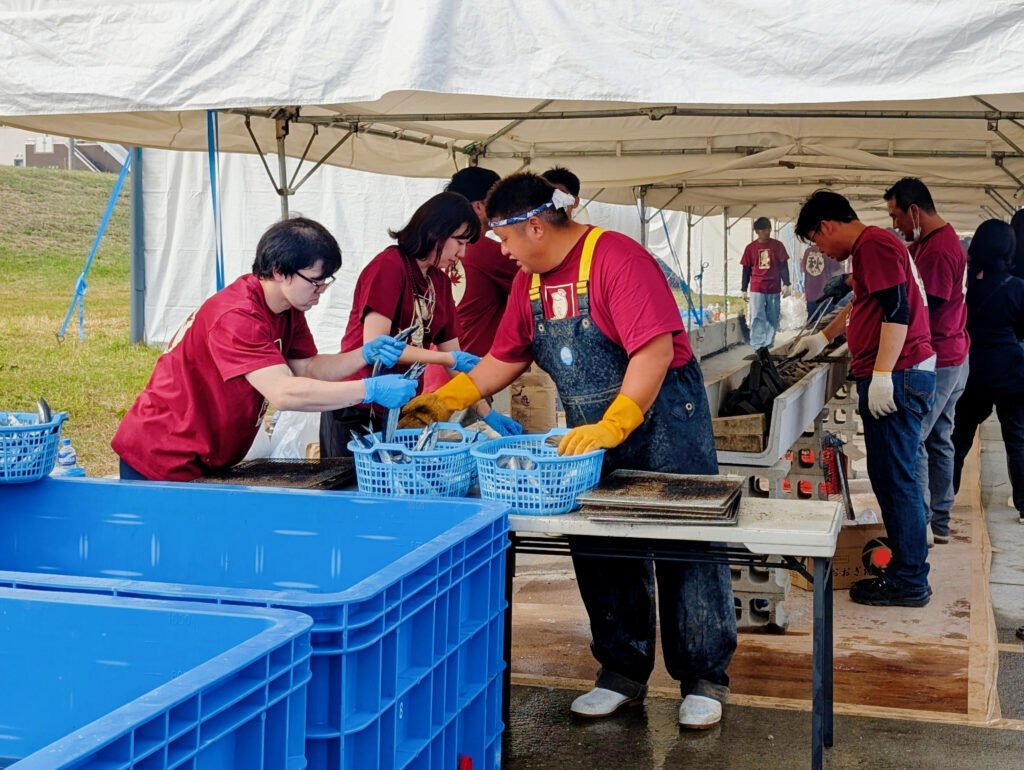 Volunteers in red shirts sorting Pacific saury (sanma) at Onagawa Harvest Festival 2025, Miyagi Prefecture, Japan — teamwork in preparation for grilling. Photo by Japan Lens by GraceyG.