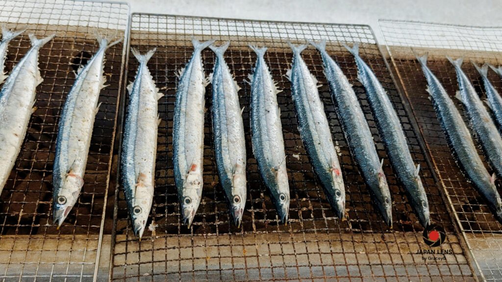 Rows of grilled Pacific saury on charcoal grills at the Onagawa Harvest Festival 2025, Miyagi Prefecture, Japan — symbol of autumn tradition and teamwork. Photo by Japan Lens by GraceyG.