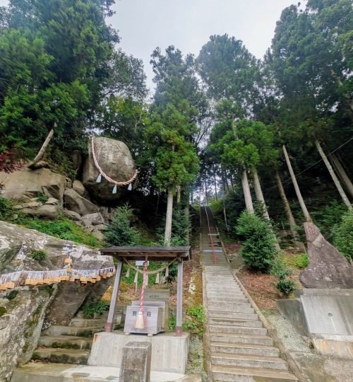 8b8609c8 90af 46b5 909d 13e2b9a66a49 (1)