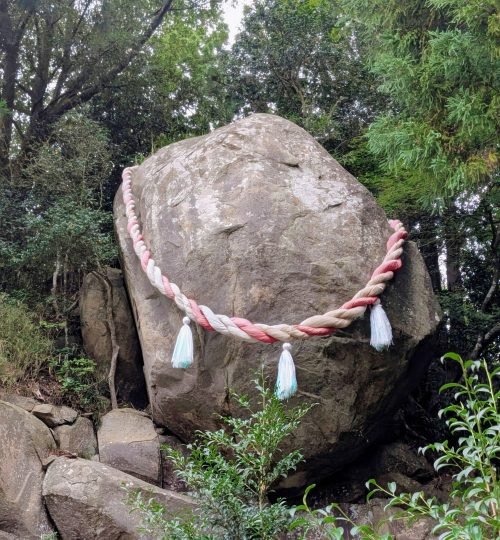 e3aeaaa1 4dd3 490c a970 55154363458e